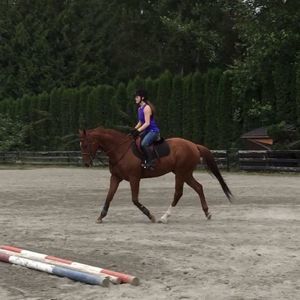 Meet your Posher, Jaymie